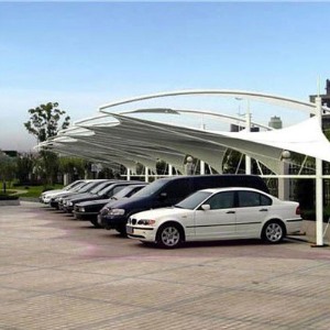 宅男视频在线网站汽车棚